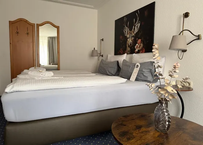 Goldener Hirsch 3* كاوفبويرن
