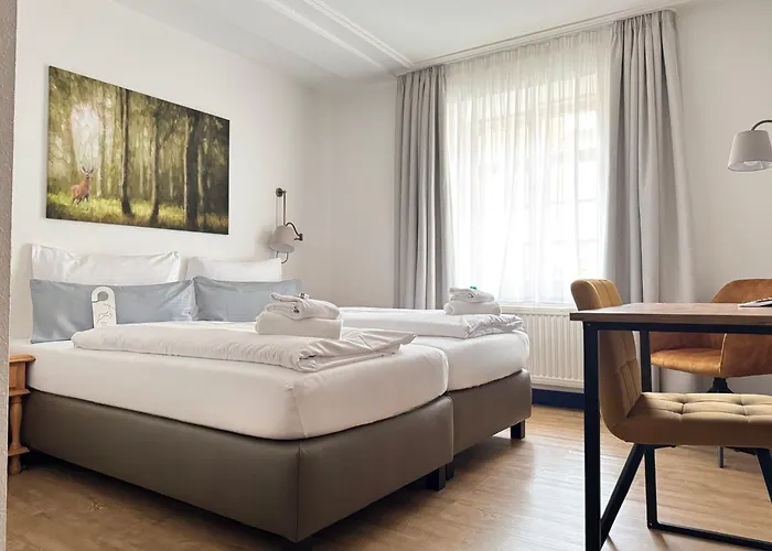 Goldener Hirsch 3* كاوفبويرن